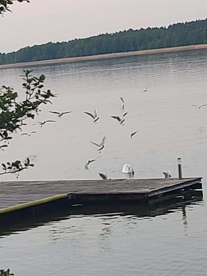Mikołajki Pokoje I Apartamenty Matdar מראה חיצוני תמונה